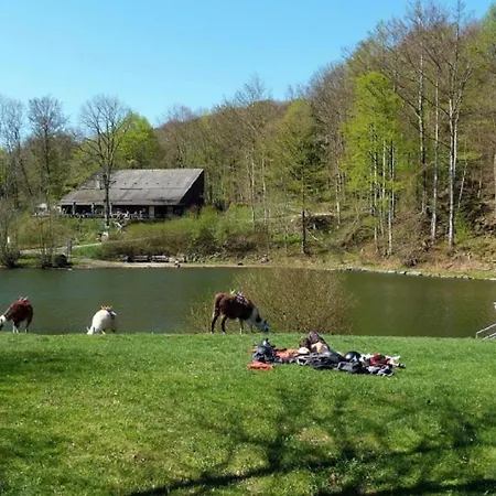 Dittrich Διαμέρισμα Hilders