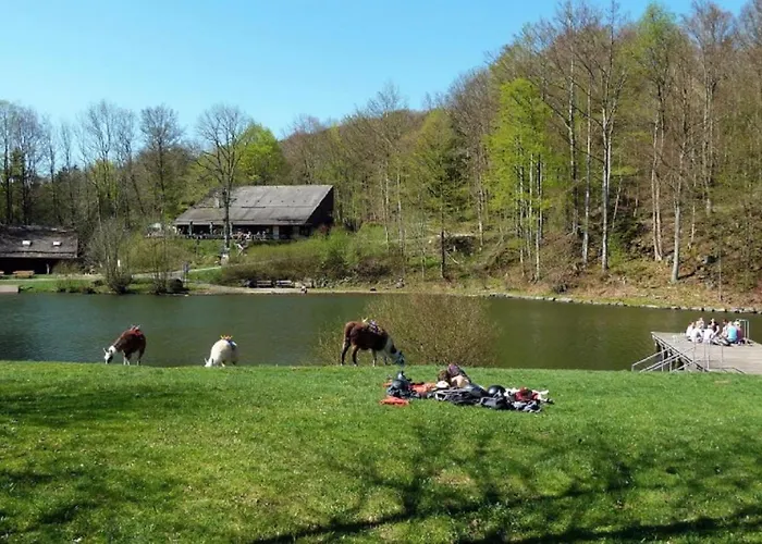 Dittrich Apartament Hilders